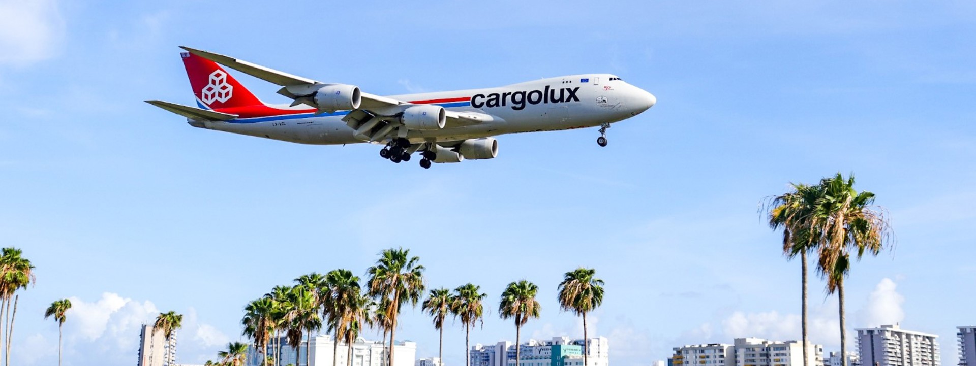 747 88F In Puerto Rico With Palm Trees